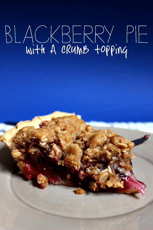 Blackberry Pie with a Crumb Topping // Budget Girl --- A sweet, fruity filling topped with a cinnamon streusel-type topping.  Use any type of berry. #fruit #pie #dessert #blackberries #crumb #food #recipes #baking