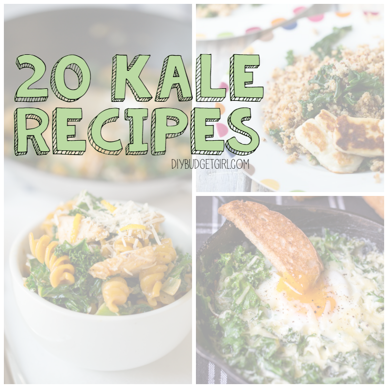 20 Kale Recipes --- Need more kale in your diet? Here are 20 ways to get it! || via diybudgetgirl.com #kale #recipes #roundup #healthy #food