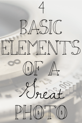 4 Basic Elements of a Great Photo