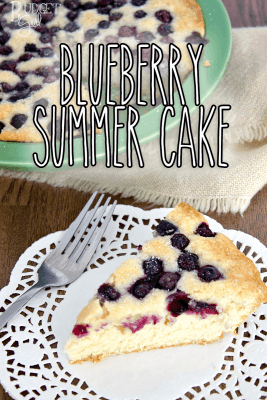 Blueberry Summer Cake