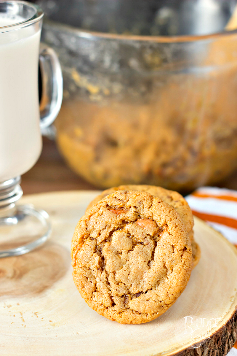 Have leftover candy? Try this recipe for Butterfinger pudding cookies! These tender cookies can be adapted to use most candy bar pieces.
