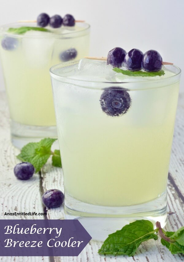 Blueberry Breeze Cooler -- Warm weather is here and it's time to ring it in with some of the blogosphere's best refreshing spring cocktails!
